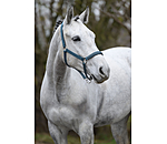 Headcollar Twinkle