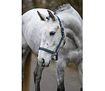 Headcollar Twinkle