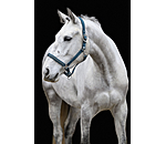 Headcollar Twinkle