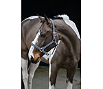 Headcollar Twinkle Moments