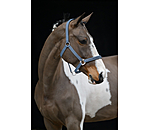Headcollar Twinkle Moments