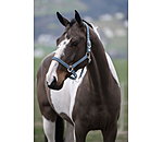 Headcollar Twinkle Moments
