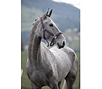 Headcollar Twinkle Moments
