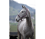 Headcollar Twinkle Moments