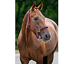Headcollar Twinkle