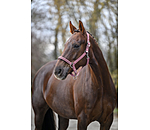 Headcollar Twinkle