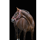 Headcollar Twinkle