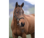Headcollar Twinkle Moments