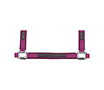 Headcollar Mesh Technology