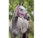 Headcollar Mesh Technology