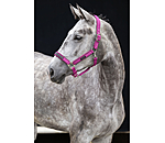 Headcollar Mesh Technology