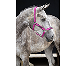 Headcollar Mesh Technology