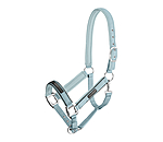 Headcollar Mesh Technology