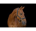 Headcollar Twotone & Crystal