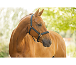 Headcollar Twotone & Crystal