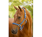 Headcollar Twotone & Crystal
