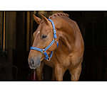 Headcollar Twotone & Crystal