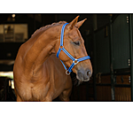 Headcollar Twotone & Crystal