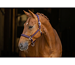 Headcollar Twotone & Crystal