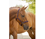 Headcollar Twotone & Crystal