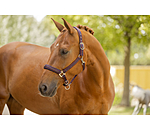 Headcollar Twotone & Crystal