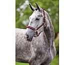 Headcollar Signature III