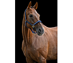 Headcollar Signature III