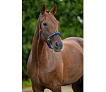 Headcollar Signature III