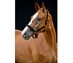 Headcollar Signature III