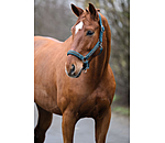 Headcollar Glitter Stone