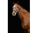 Headcollar Glitter Stone