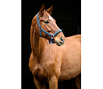 Headcollar Glitter Stone