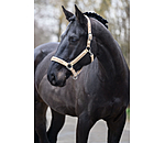 Headcollar Glitter Stone