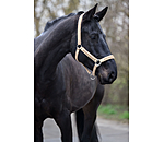 Headcollar Glitter Stone