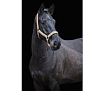 Headcollar Glitter Stone