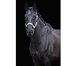Headcollar Glitter Stone