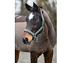 Headcollar Glitter Stone