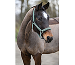 Headcollar Glitter Stone