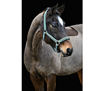 Headcollar Glitter Stone