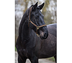 Headcollar Glimmering