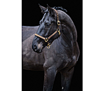 Headcollar Glimmering