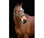 Headcollar Glimmering