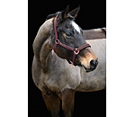 Headcollar Glimmering
