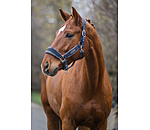 Headcollar Velvet
