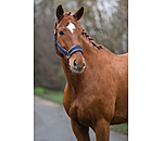 Headcollar Velvet