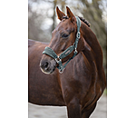 Headcollar Velvet