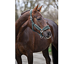 Headcollar Velvet