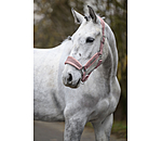 Headcollar Velvet
