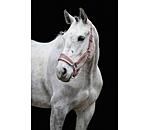 Headcollar Velvet