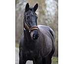 Headcollar Velvet